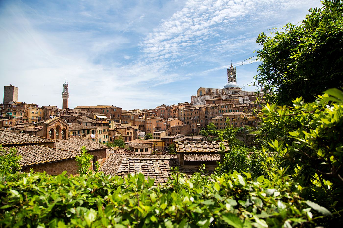 Siena-scenery with rooftop.jpg
